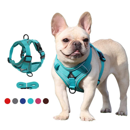 No-Pull Harness Set with 1.5m Traction Leash