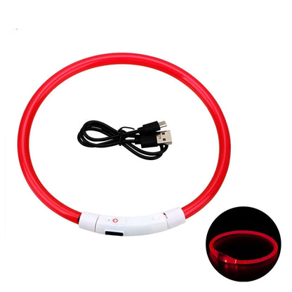 LED Collar