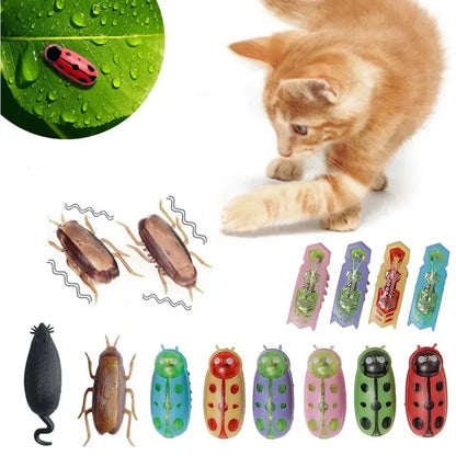 Funny Electric Bugs Catnip Toy