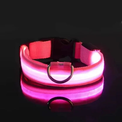 Led Glowing Collar