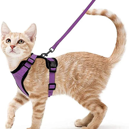 Cat Harness and Leash 3