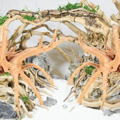 Driftwood Terrarium Décor 1