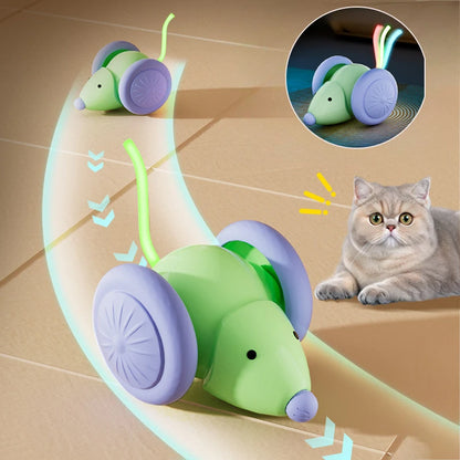 Electric Interactive MouseCar Toy