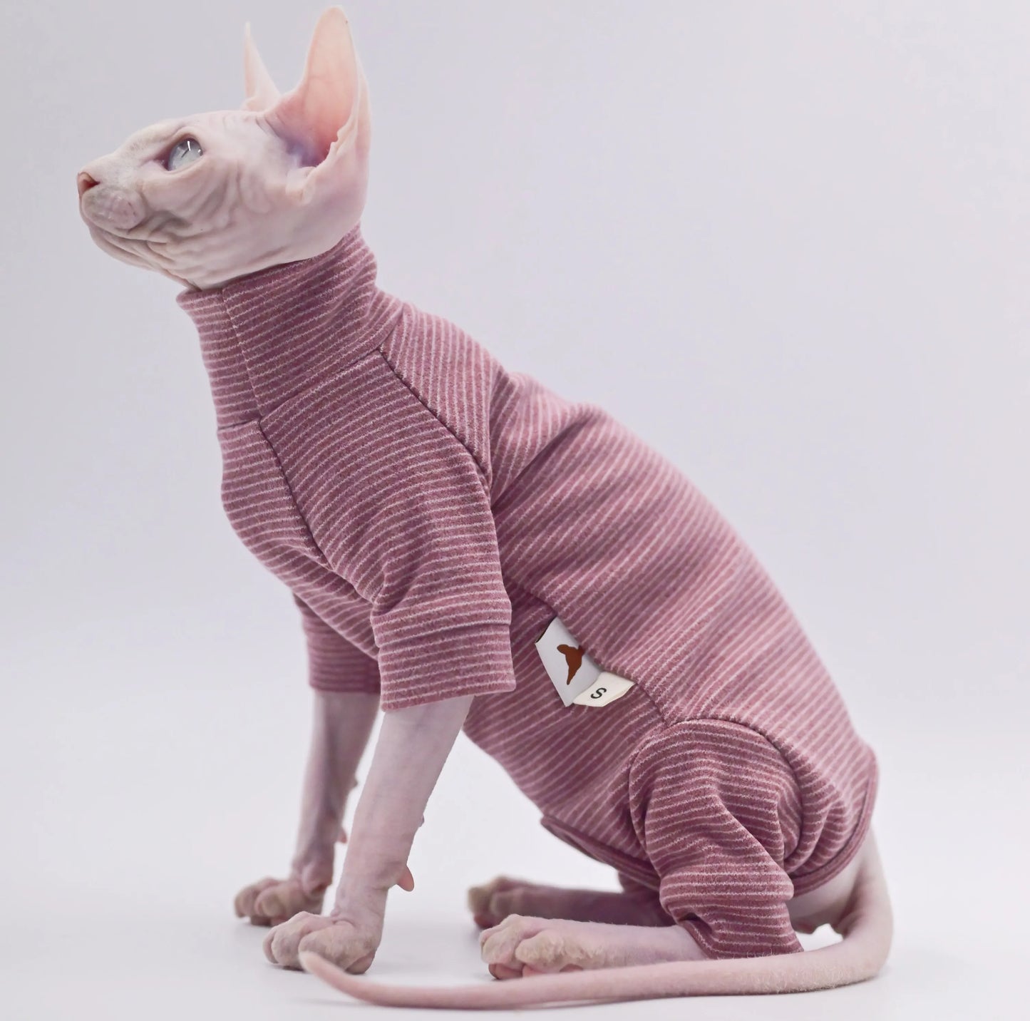 Cat Four-Legged Hoodie