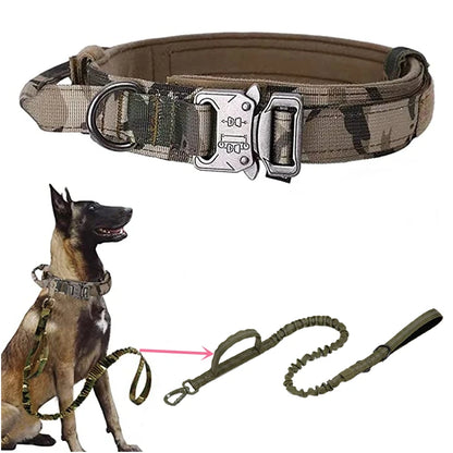 Tactical Training Collar and Leash Set