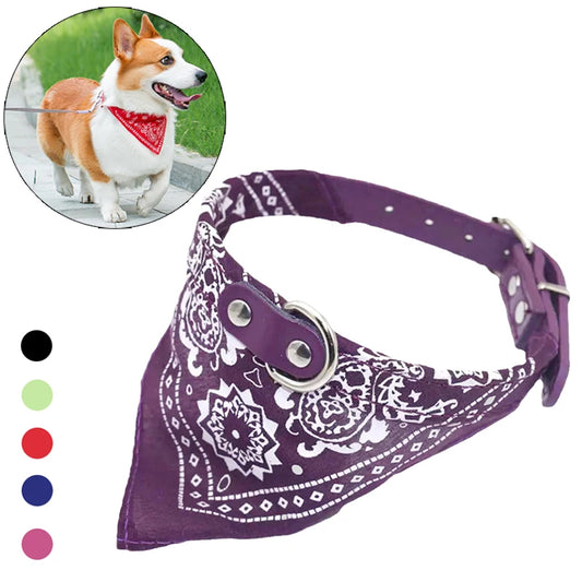 Collar Bandana