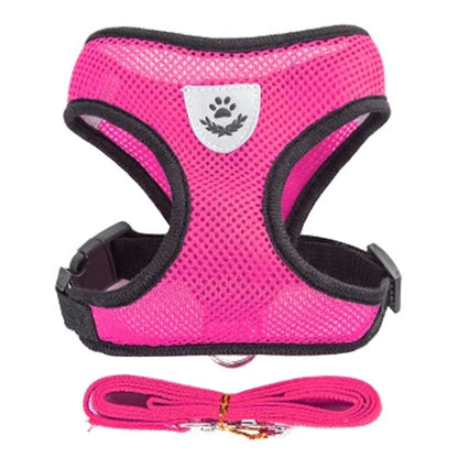Cat Harness and Leash 2