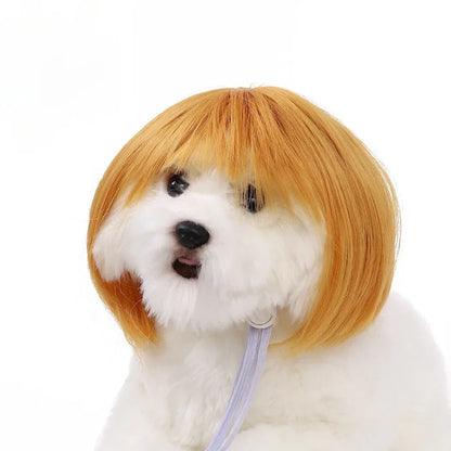 DIY Pet Wig