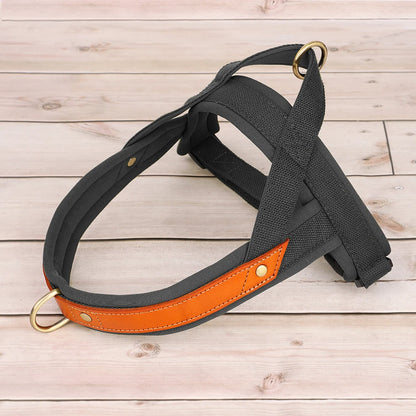 Reflective No-Pull Padded Harness
