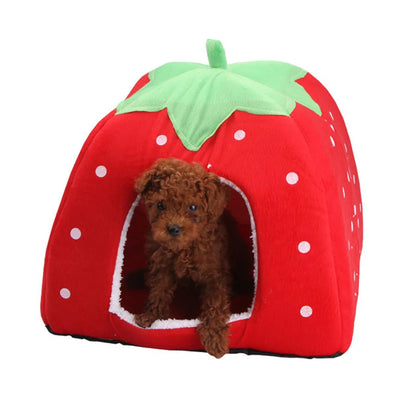 Strawberry House for Small Dogs & Cats