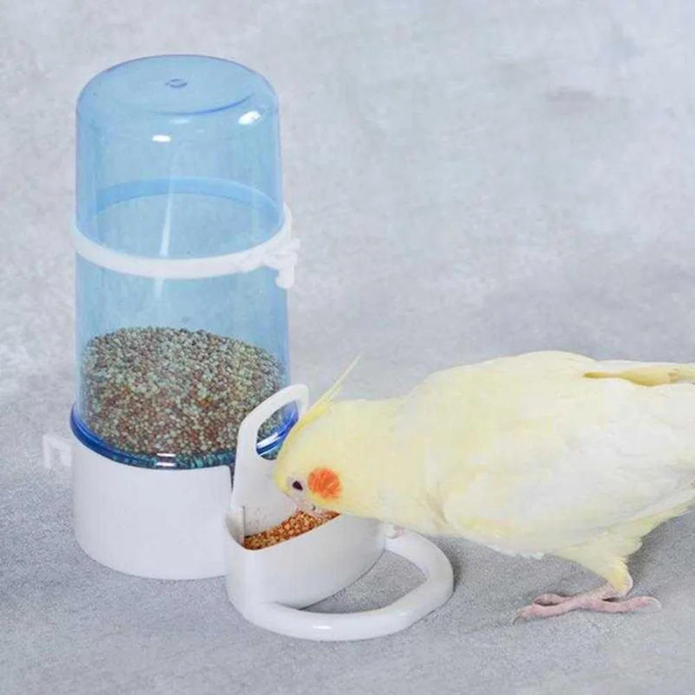 Birds Feeder & Water Dispenser 4