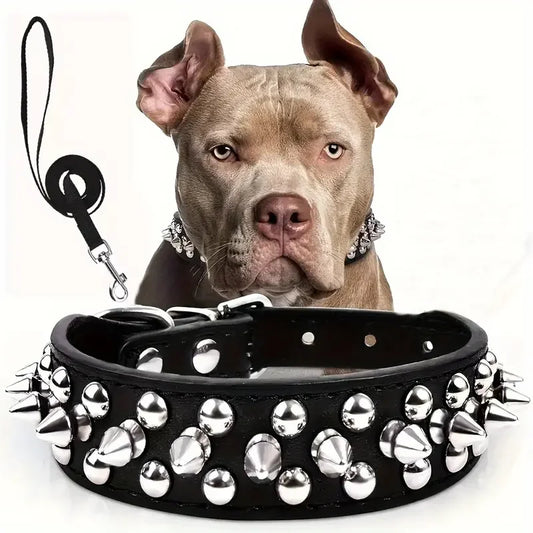 Spiked Collar