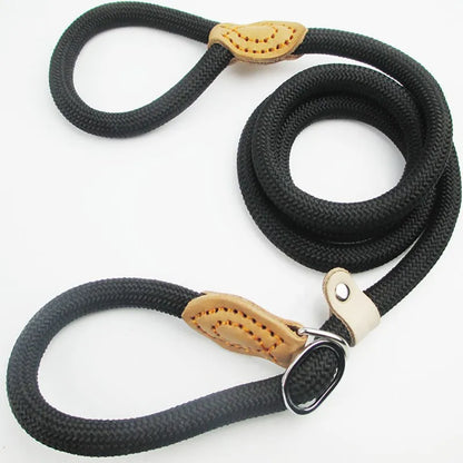Braided Slip Rope Leash