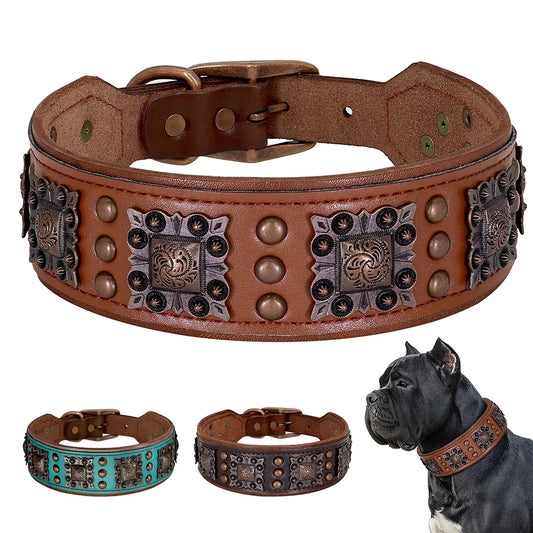 Cool Spiked Collar