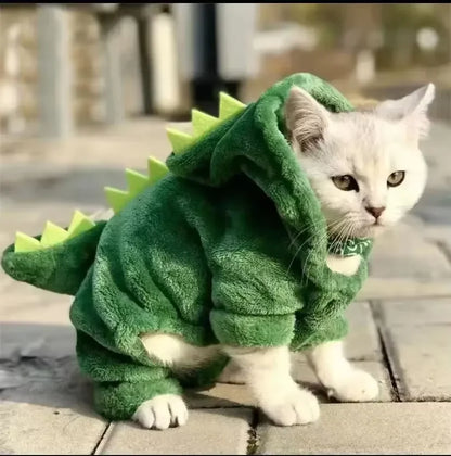 Dinosaur Costume 1