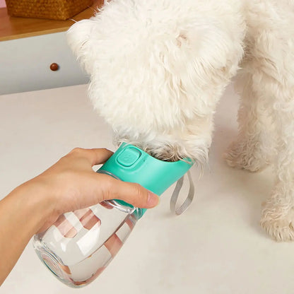 Portable Water Bottle