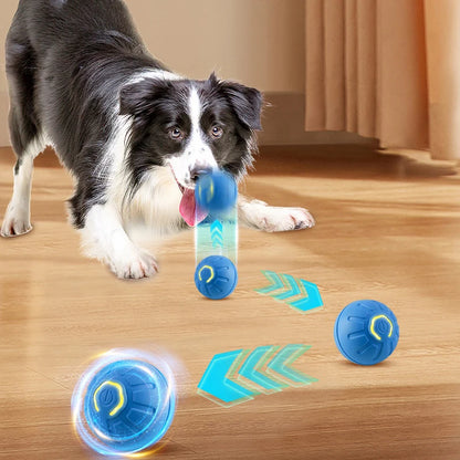 Automatic Moving Dog Toy Ball USB Charging