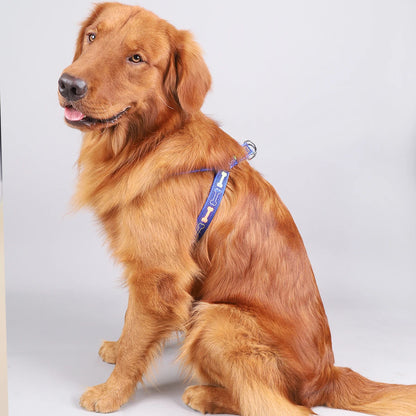 Colorful Bone Tripod Harness