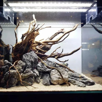 Natural Driftwood Aquarium Décor