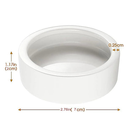 Reptile Ceramic Feeding Bowl
