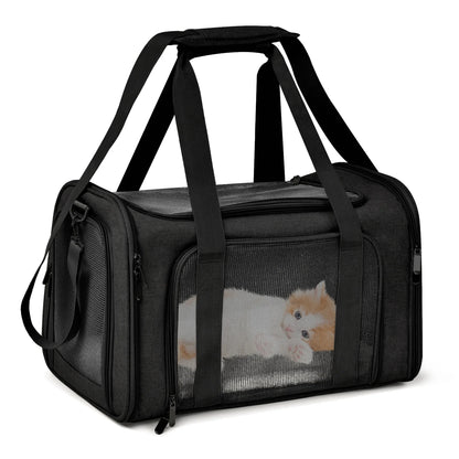 Dog Carrier 8