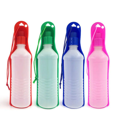 Portable Water Bottle with Bowl 2