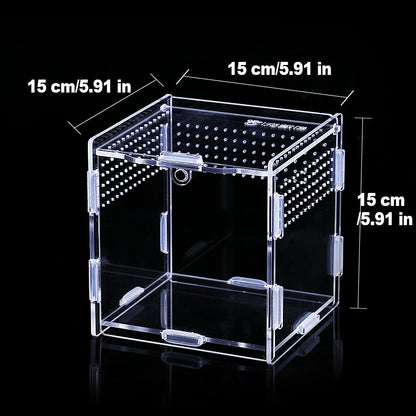 360° Acrylic Spider Habitat