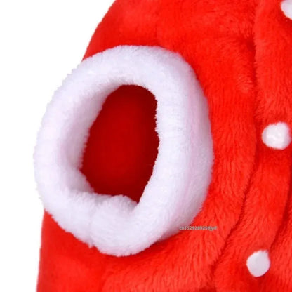 Pet Christmas Hoodie 2