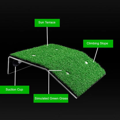 Turtle Basking Platform