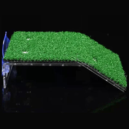 Turtle Moss Platform