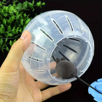 Transparent Hamster Ball