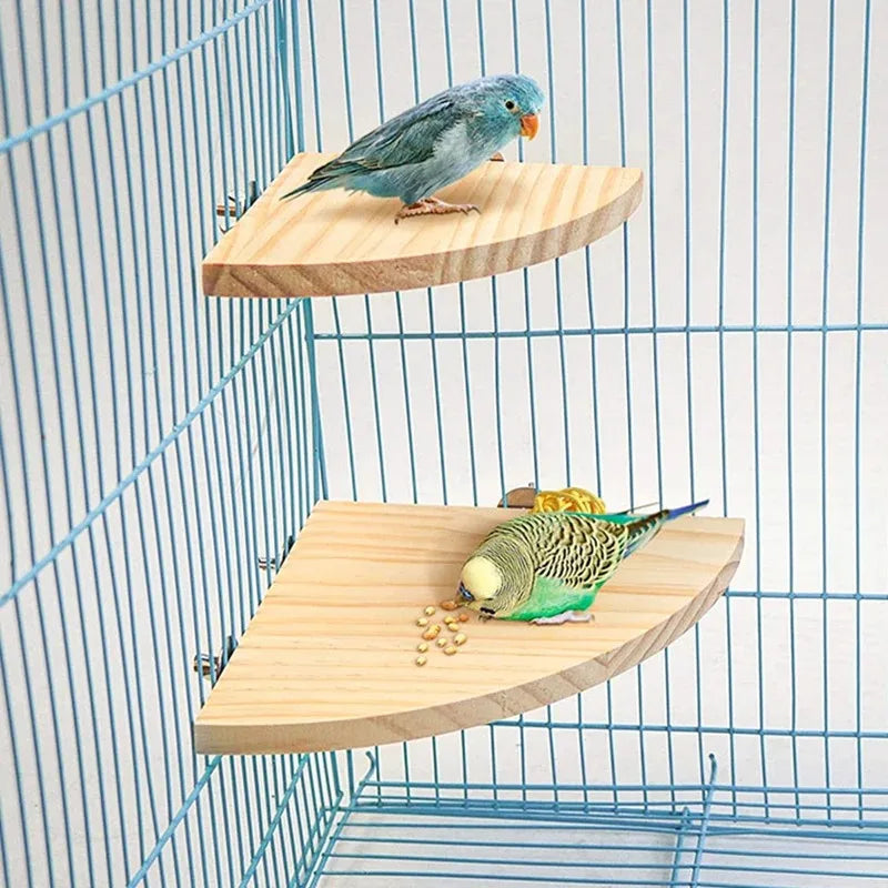 Bird Wooden Perch Stand