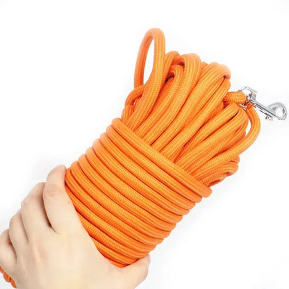 Heavy Duty Nylon Leash