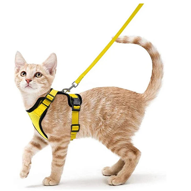 Cat Harness and Leash 3