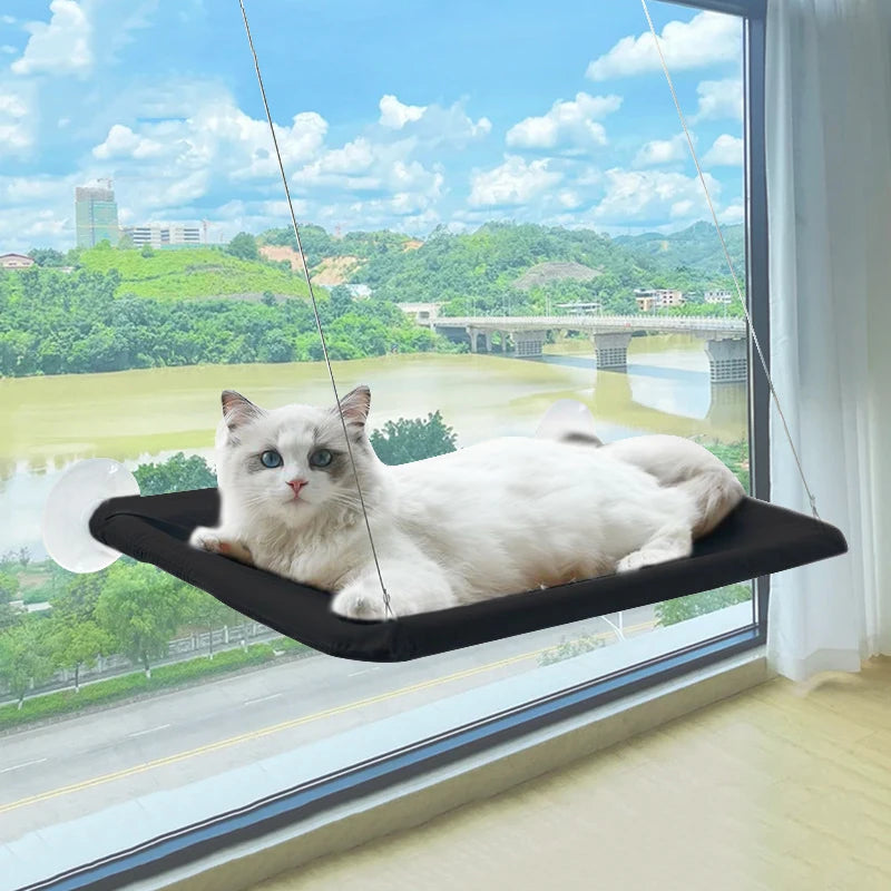 Cat Window Hammock Bed 2