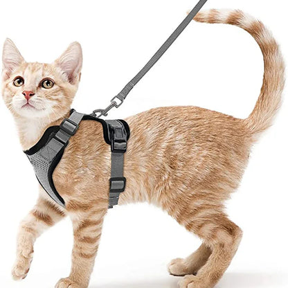 Cat Harness and Leash 3