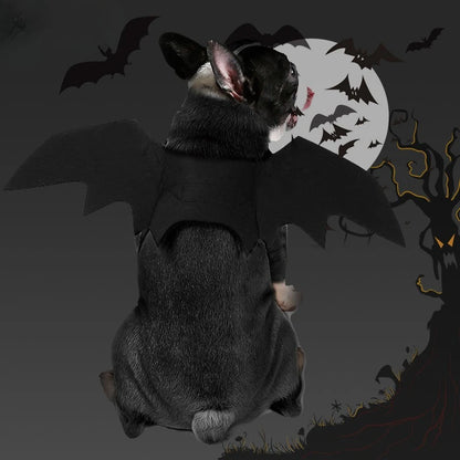 Pet Bat Wings