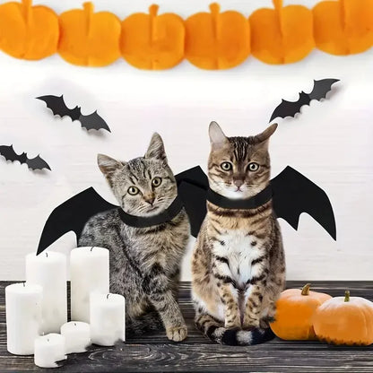 Pet Bat Wings