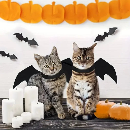 Pet Bat Wings