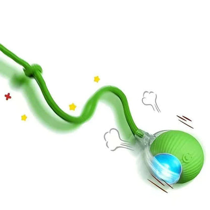 Interactive Ball Toy