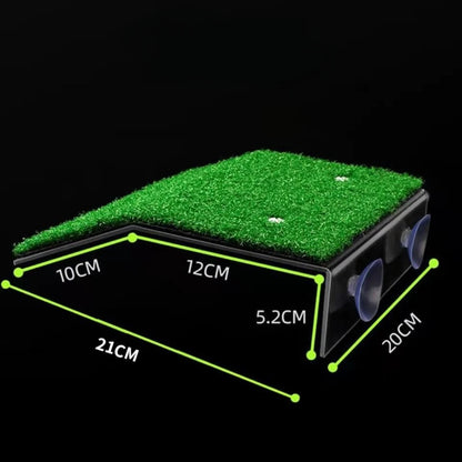 Turtle Moss Platform