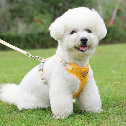 Adjustable Puppy & Small Dog Harness Set