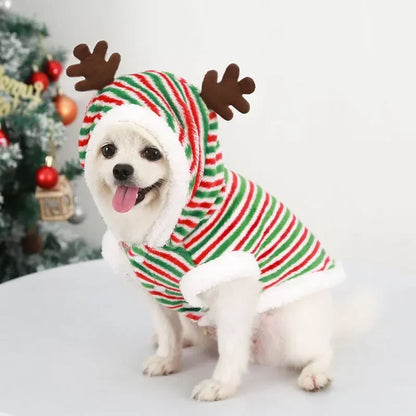 Dog Christmas Hoodie 1