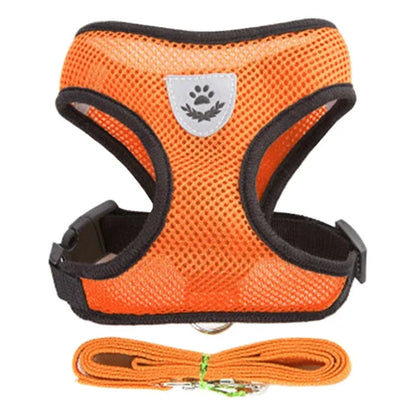 Cat Harness and Leash 2