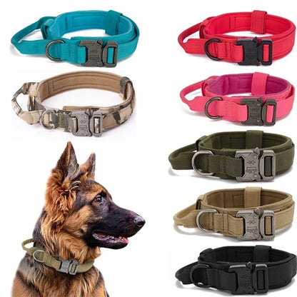 Tactical Collar