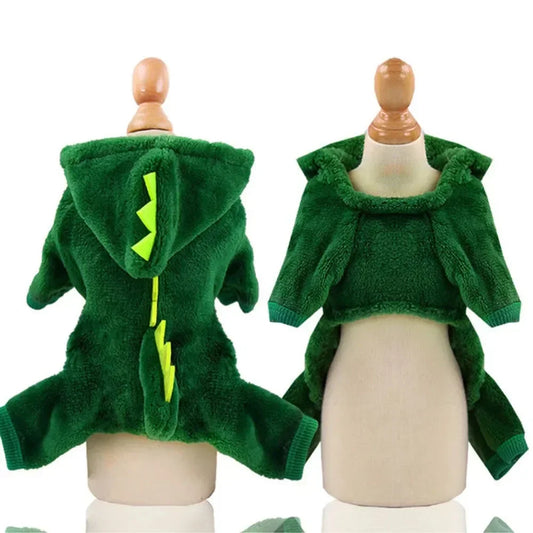 Dinosaur Costume 1