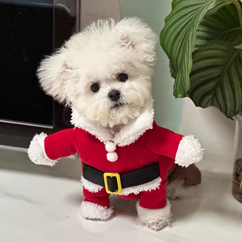 Dog Santa Costume
