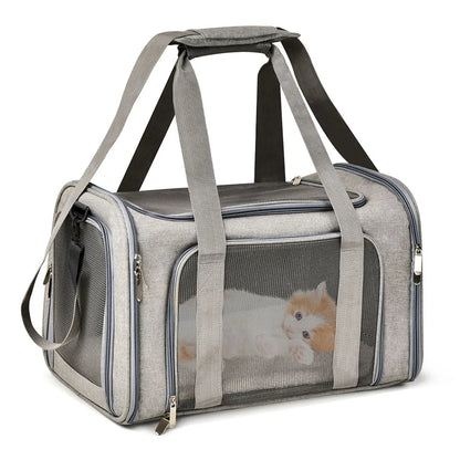 Dog Carrier 8