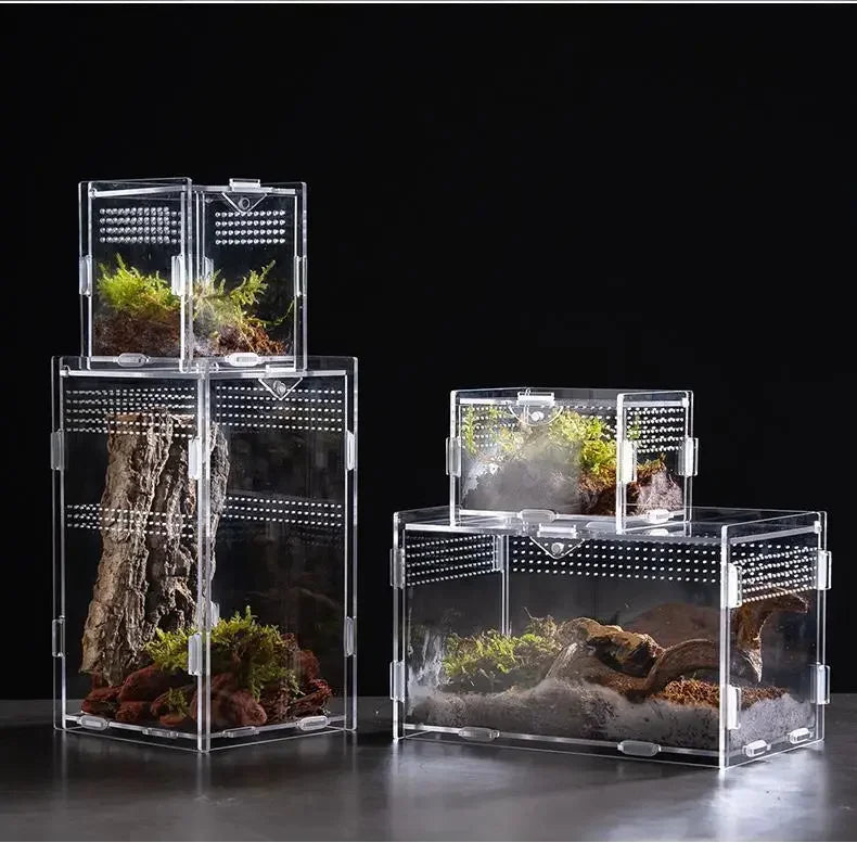 Acrylic Habitat