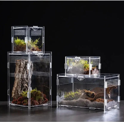 Acrylic Habitat